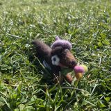 Sausage Dog With Tuplis Felt