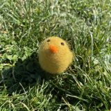 Easter Chick Felt