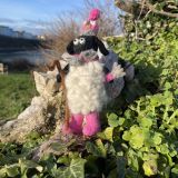 Stanley And Sheila Sheep