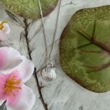 Scallop Shell Necklace