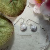Scallop Shell Earrings