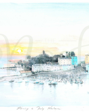 Morning In Tenby Harbour