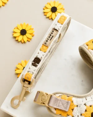 Sunflower Patch Lead