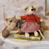 Mouse In A Red Gingham Outfit