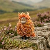 Duncan The Highland Cow