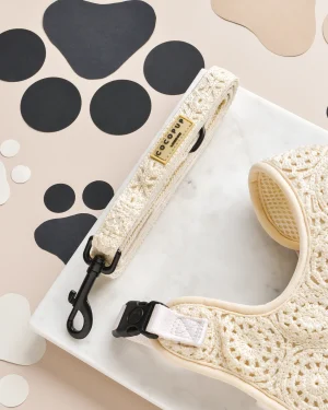Festival Crochet Puppy Lead