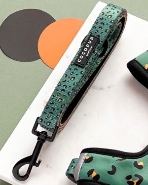 Khaki Leopard Lead