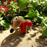 Dog Keyring