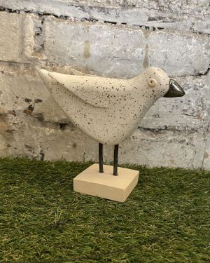 Standing Steven The Seagull