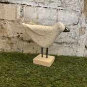 Standing Steven The Seagull