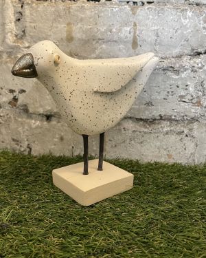 Standing Steven The Seagull