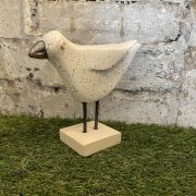 Standing Steven The Seagull