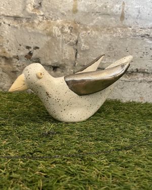 Sitting Steven The Seagull