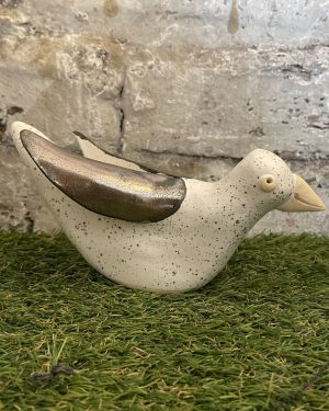 Sitting Steven The Seagull