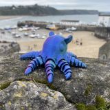 Squid