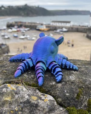 Squid