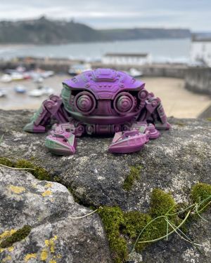 Crabs