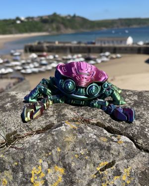 Crabs