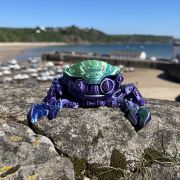 Crabs