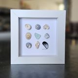 Seashells And Sea Glass Frame