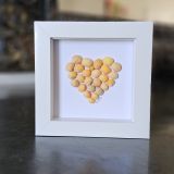 Yellow Litorina Seashells Frame