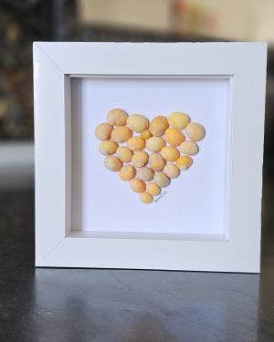 Yellow Litorina Seashells Frame