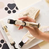 Festival Crochet Dog Collar