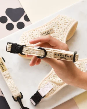 Festival Crochet Dog Collar