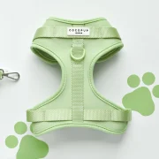 Matcha Adjustable Neck Harness