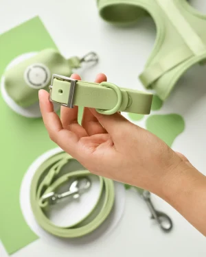 Matcha Dog Collar