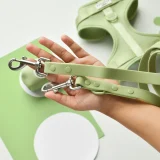 Matcha Dog Lead
