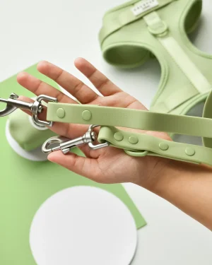 Matcha Dog Lead