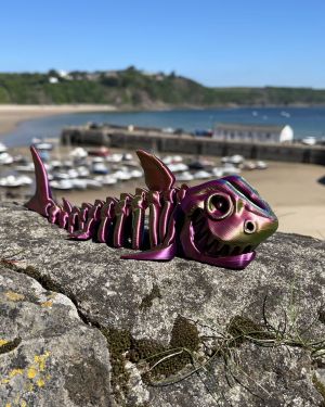 Shark Skeleton