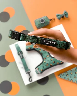 Khaki Leopard Dog Collar