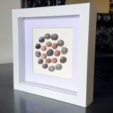 Red And Black Circular Seashell Frame