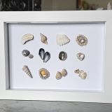 Rectangular Seashell Frame