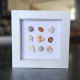 Small Seashell Frame