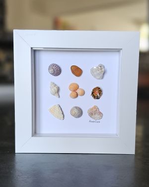Small Seashell Frame