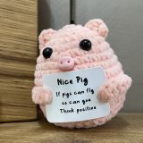 Positive Pig