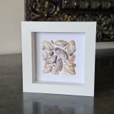 Seashells Frame