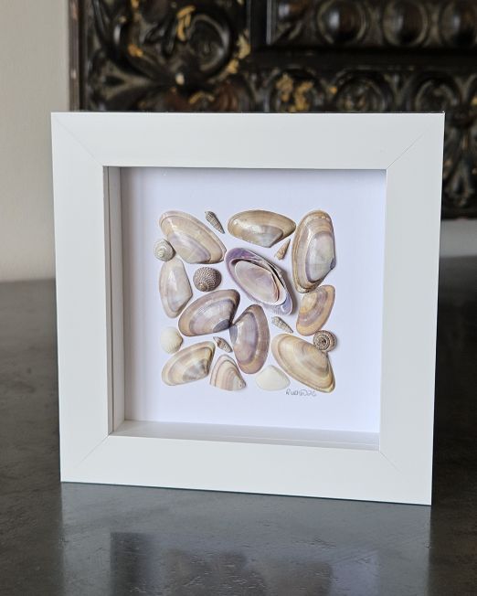 Seashells Frame