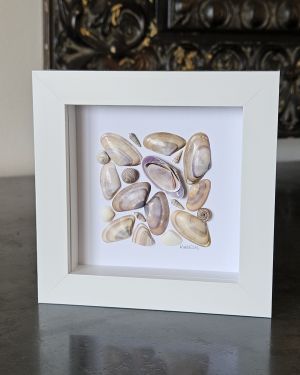 Seashells Frame