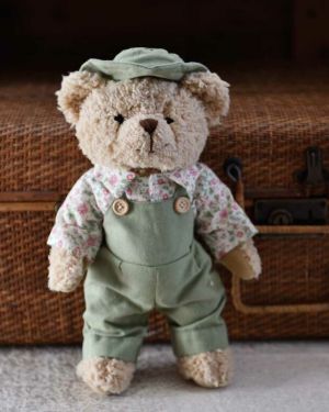 Teddy Bear In Green Dungarees