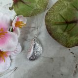 Large Mussel Shell Necklace