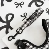 Pup In Paris Dog Lead