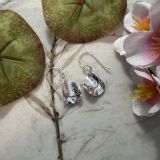 Two Piece Shell Earrings