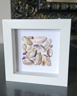 Purple Seashells Frame