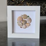 Seashell Circle Frame
