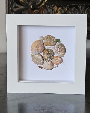 Seashell Circle Frame