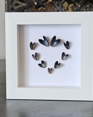 Mussel Shell Heart Frame